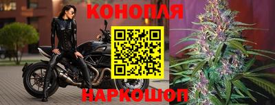 СК Малгобек