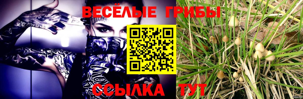 Владимир  Галлюциногенные грибы мухоморы  наркота  Вход с VPN 